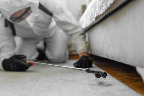 Professional Bed Bug Control technician working in Logansport, IN